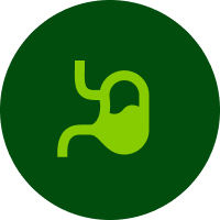 Mejorar la absorción de nutrientes