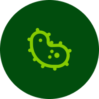 Equilibrar tu microbiota intestinal