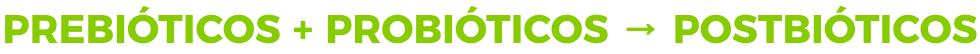Prebióticos + Probióticos = Postbióticos