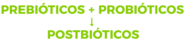 Prebióticos + Probióticos = Postbióticos